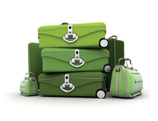 Eco-Friendly Getaways: Take a Green Vacation